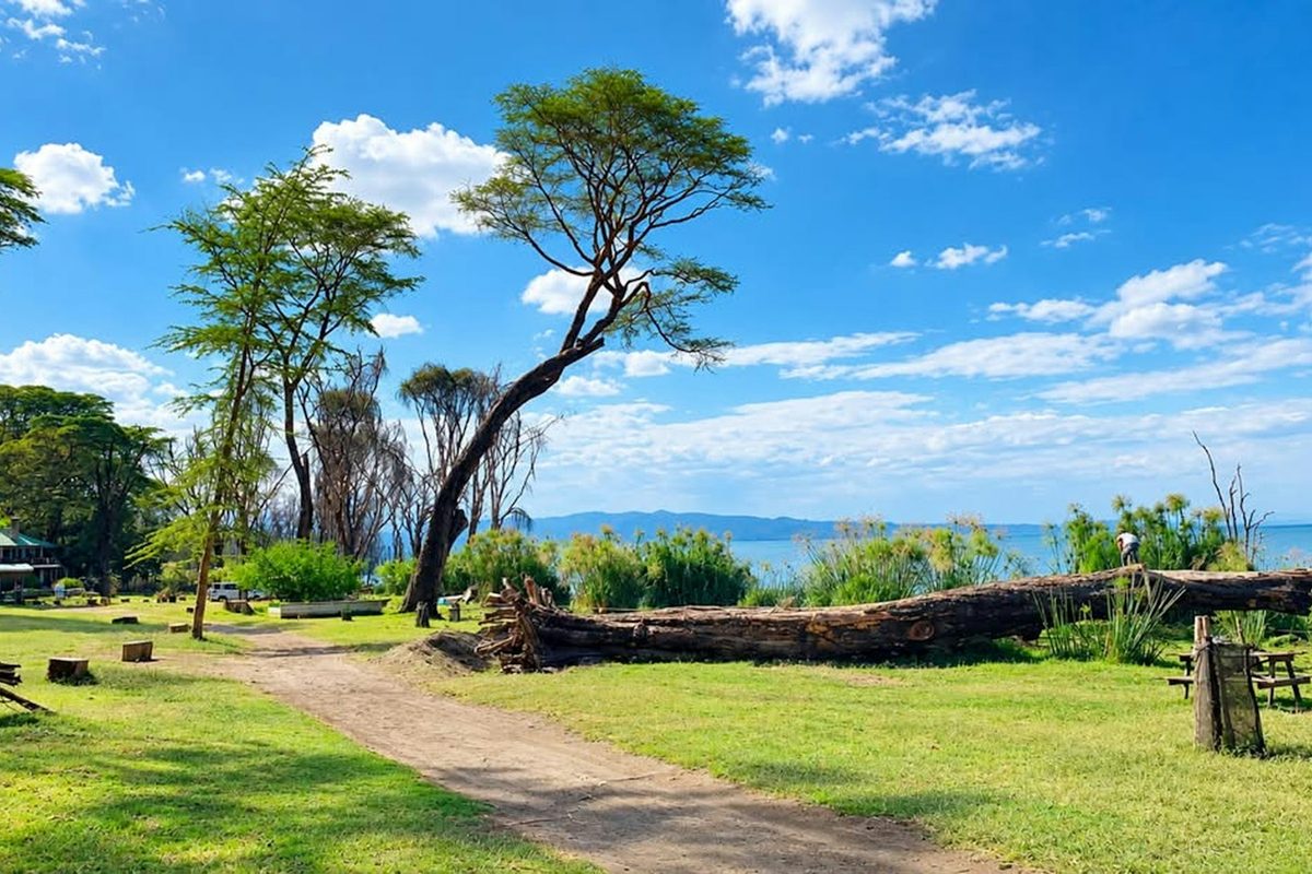A dirt path leading through a grassy park toward a large lake under a bright blue sky