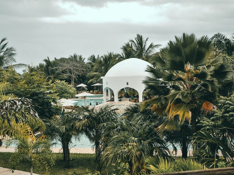 White dome gazebo surrounded with trees