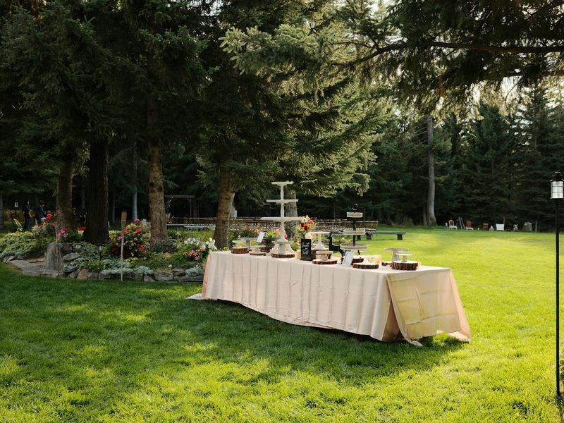 Outdoor table set for a banquet with food and decorations