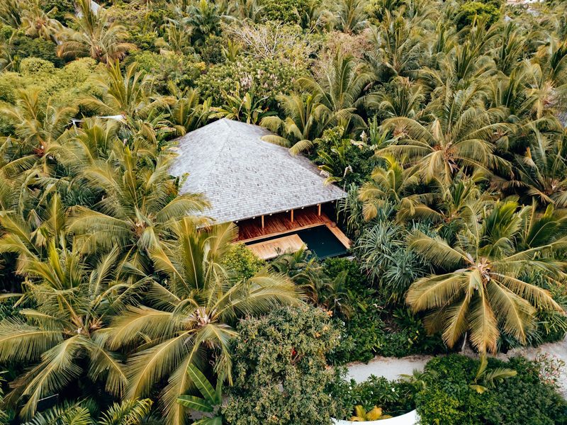Building among trees in Zanzibar