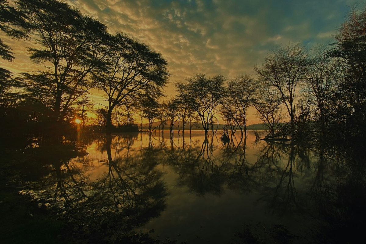 The sun is setting over a lake surrounded by trees
