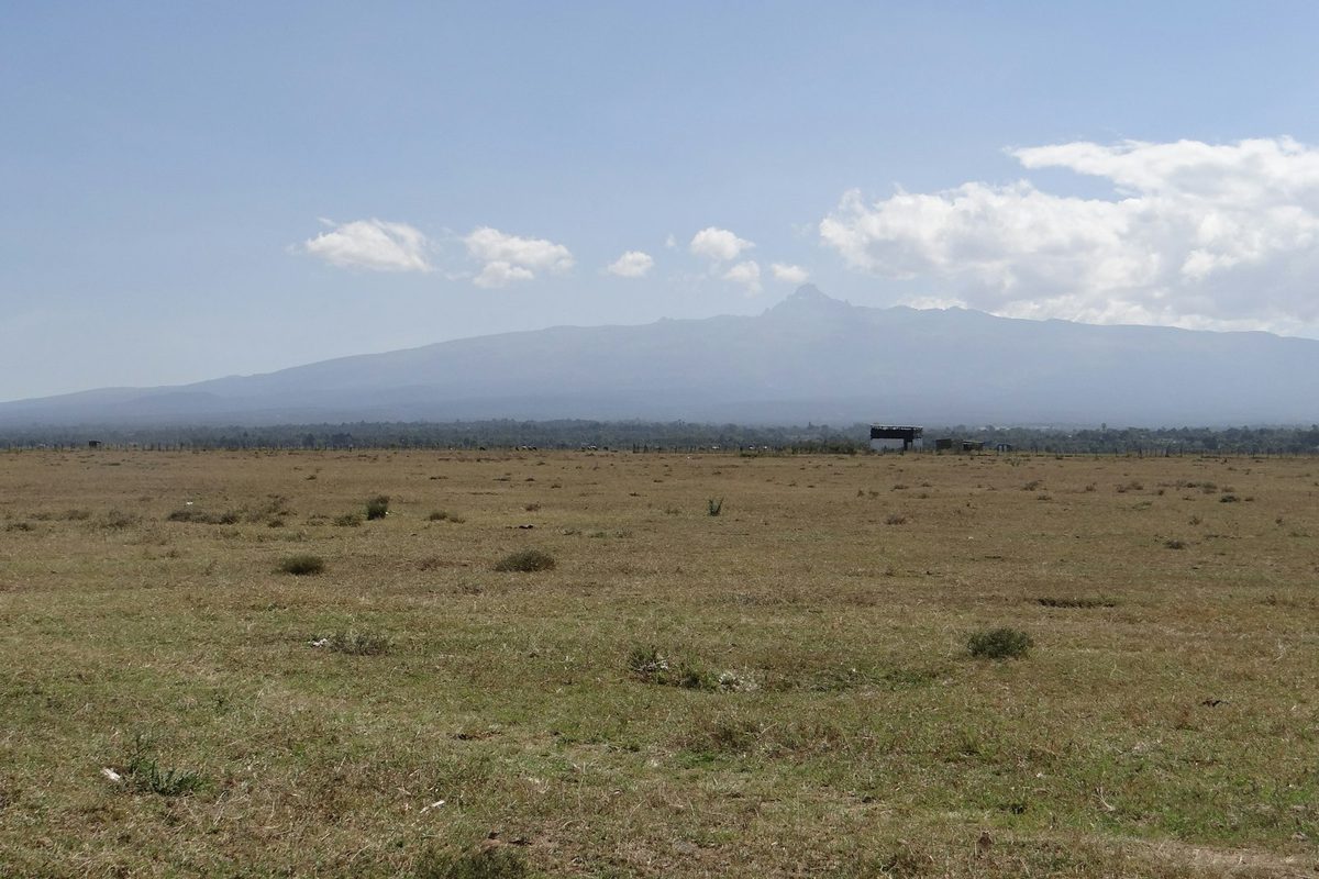 A large open field with a mountain in the background