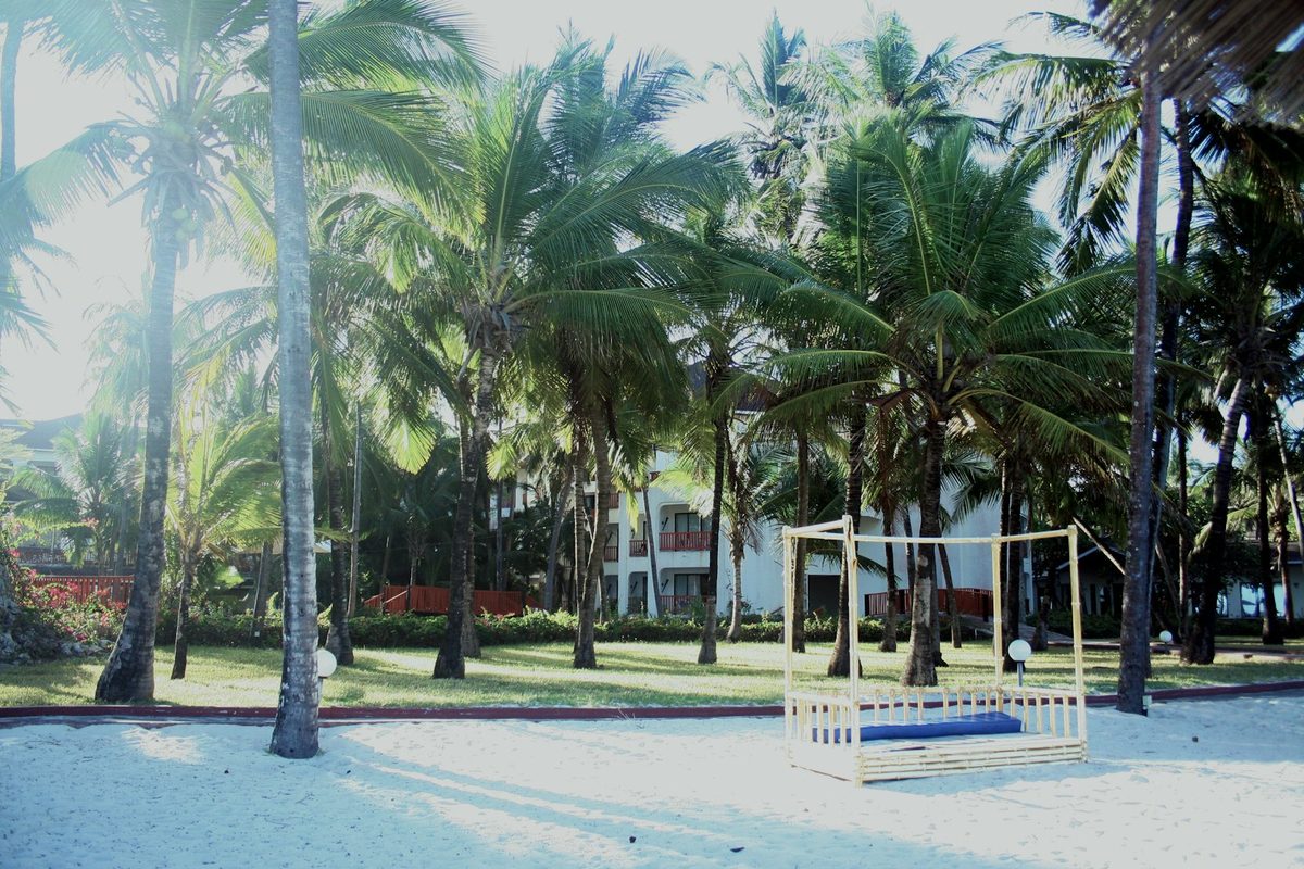 Palm trees and white sand in Diani